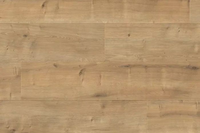 Design sans titre (62)